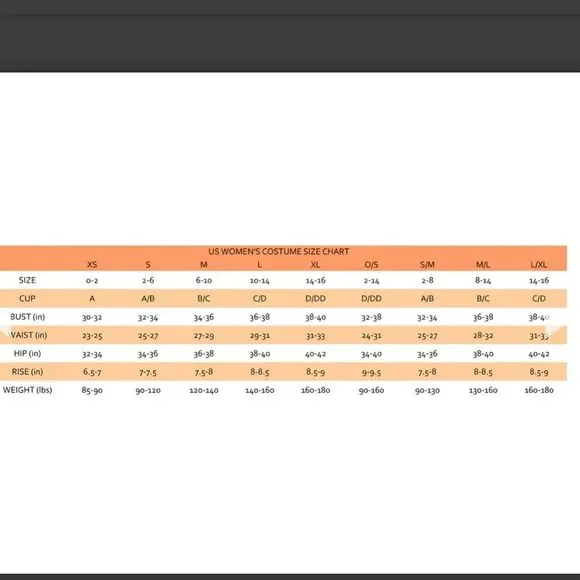 Dreamgirl The Beat Goes On 60's Pleated Costumes - Picture 12 of 13